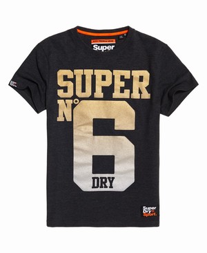 Superdry Super No 6 Férfi Pólók Szürke | ILVTP8547